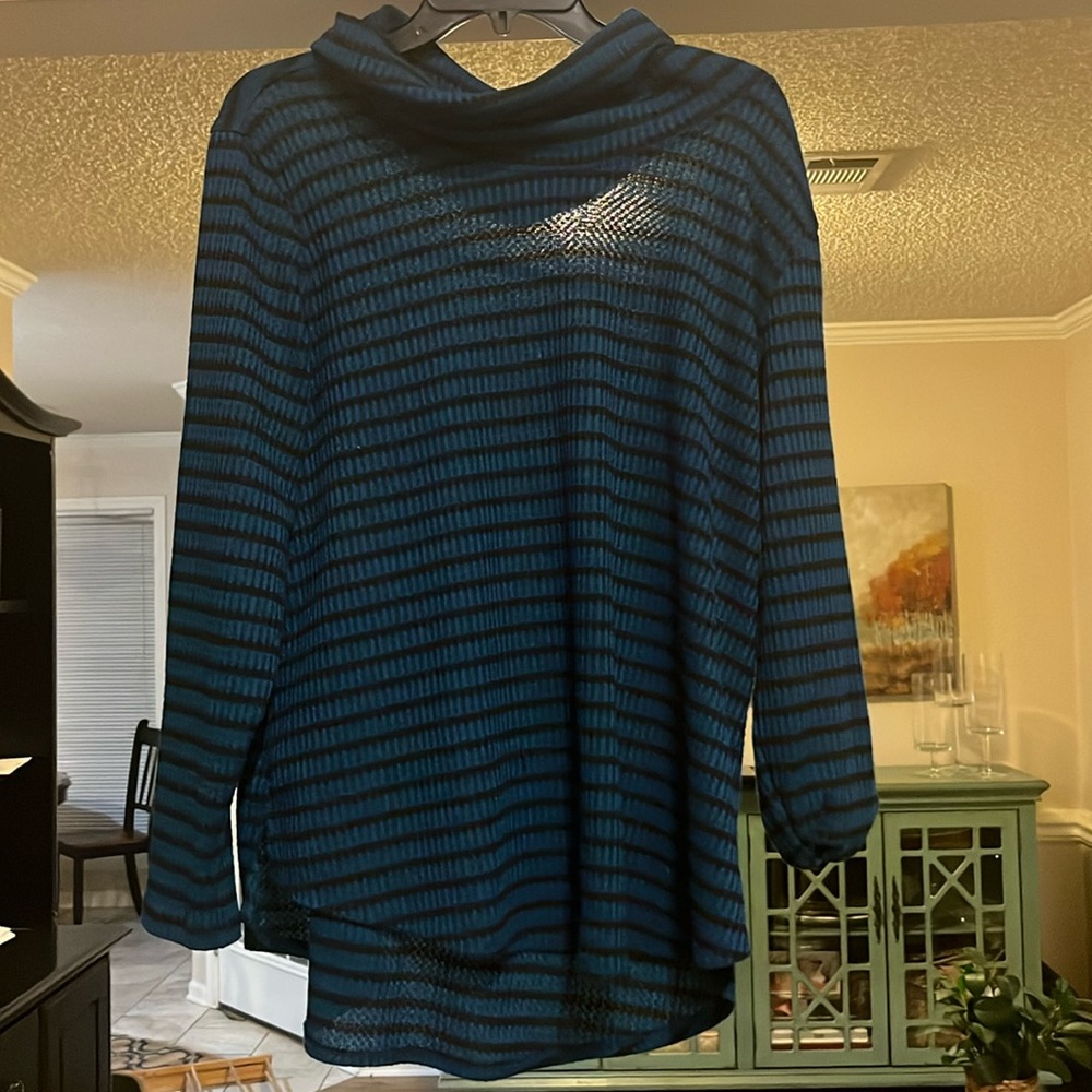 Turquoise stripped turtle neck